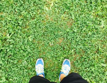 Low section of woman standing on grassy field