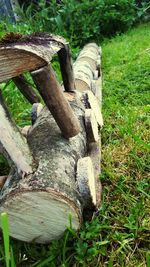 High angle view of wood on field