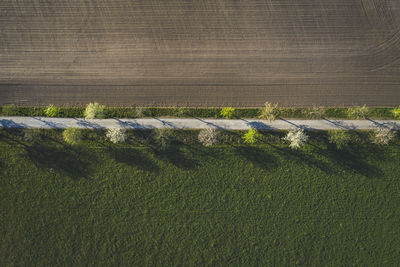 Aerial view of road amidst field