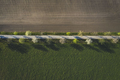 High angle view of field