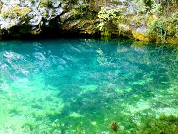 Scenic view of blue water