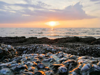 Scenic view of sea against sky during sunset