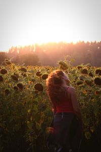 Rear view of woman standing amidst sunflowers during sunset