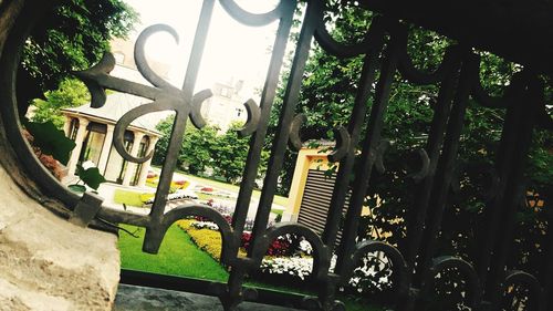 Close-up of trees in park