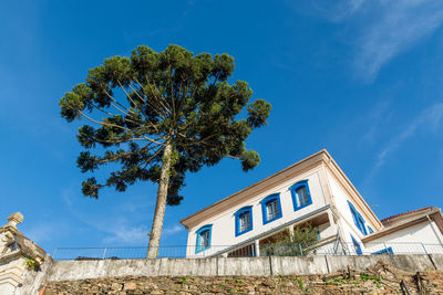 Low angle view of tree and building against blue sky