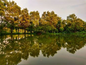 Reflection of trees in lake against sky