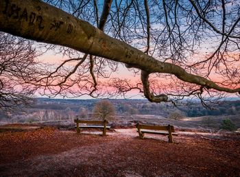 Empty bench by bare tree in park against sky