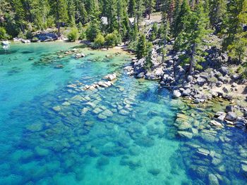 Scenic view of sea shore