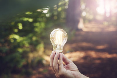 Hand holding lightbulb