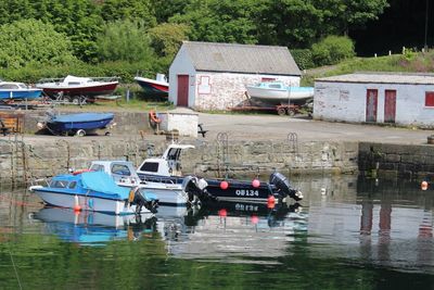 Boats moored on river against trees