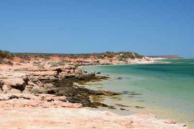 Scenic view of sea against clear sky