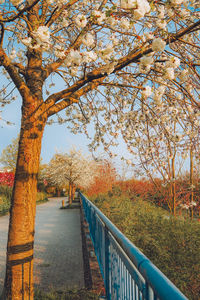 Rear view of woman walking on footbridge