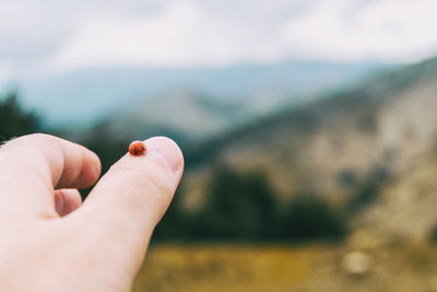 Little ladybug perched on the thumb skin of a girl's hand in nature