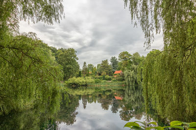 Reflection of trees in water against sky