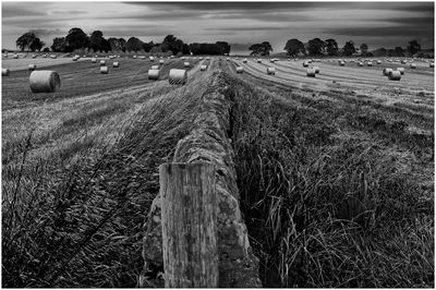 Hay bales on field against sky
