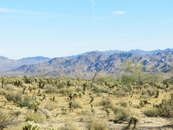 Scenic view of landscape and mountains against sky