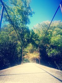 Road amidst trees in forest against sky
