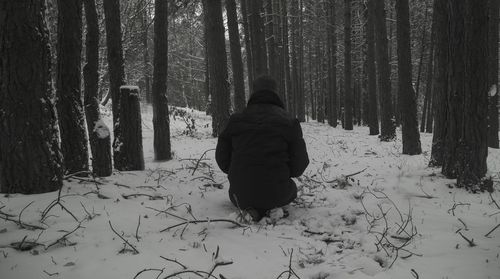 Rear view of man sitting on snow amidst trees in forest