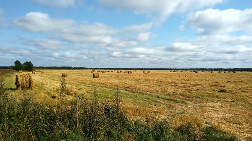 Scenic view of field against sky