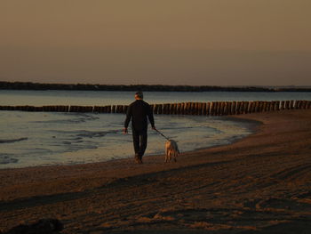 Rear view of man walking with dog on shore at beach against sky during sunset