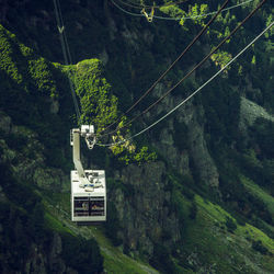 Overhead cable car in forest