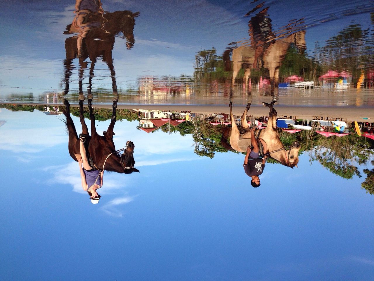 sky, water, reflection, tree, men, blue, leisure activity, day, lifestyles, animal representation, art and craft, outdoors, human representation, low angle view, waterfront, sunlight, enjoyment, fun, cloud