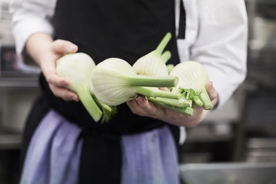 Midsection of chef holding fennel bulbs in commercial kitchen