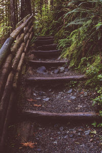 Staircase in forest