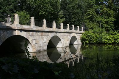 Arch bridge over trees by plants