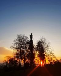 Silhouette bare trees on field against sky during sunset