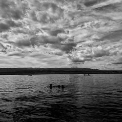 Swans swimming in lake against sky