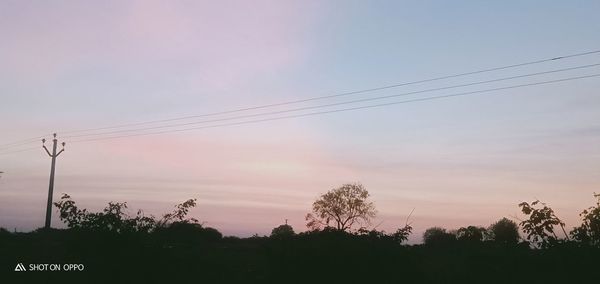 Low angle view of silhouette trees against sky during sunset