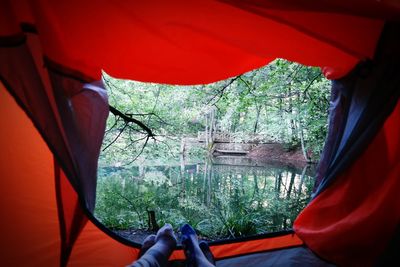 Low section of person by window in forest