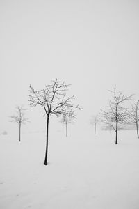 Bare tree on snow covered field against clear sky