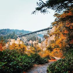 Scenic view of river amidst trees against sky