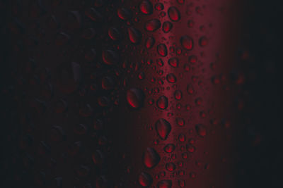 Close-up of water drops on glass