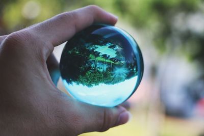 Close-up of man holding glass against trees