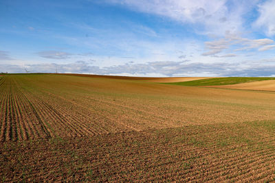 Scenic view of agricultural field against sky