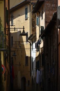 People walking on street