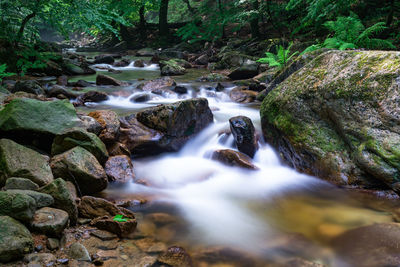 Stream flowing through rocks in forest