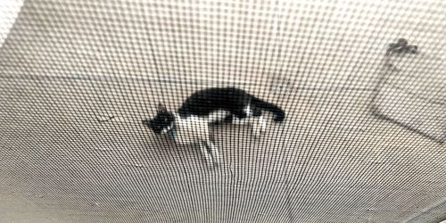 Full frame shot of person