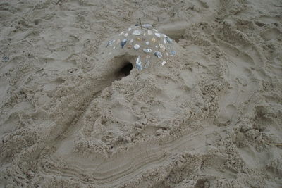 High angle view of wet sand on beach