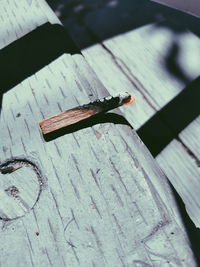 High angle view of butterfly on wood