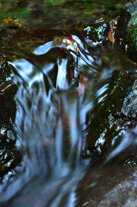 Close-up of stream flowing in forest