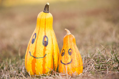 Close-up of pumpkin on pumpkins during halloween