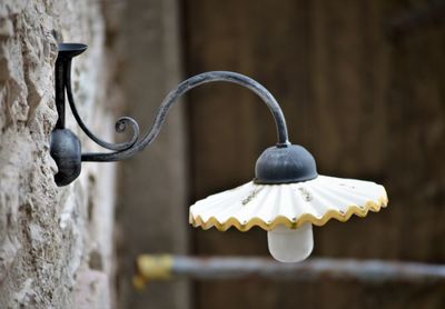 Close-up of white bird hanging on metal wall