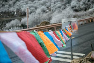 Close-up of multi colored clothespins on snow