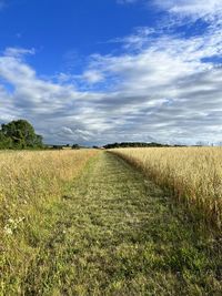 Path to the big top