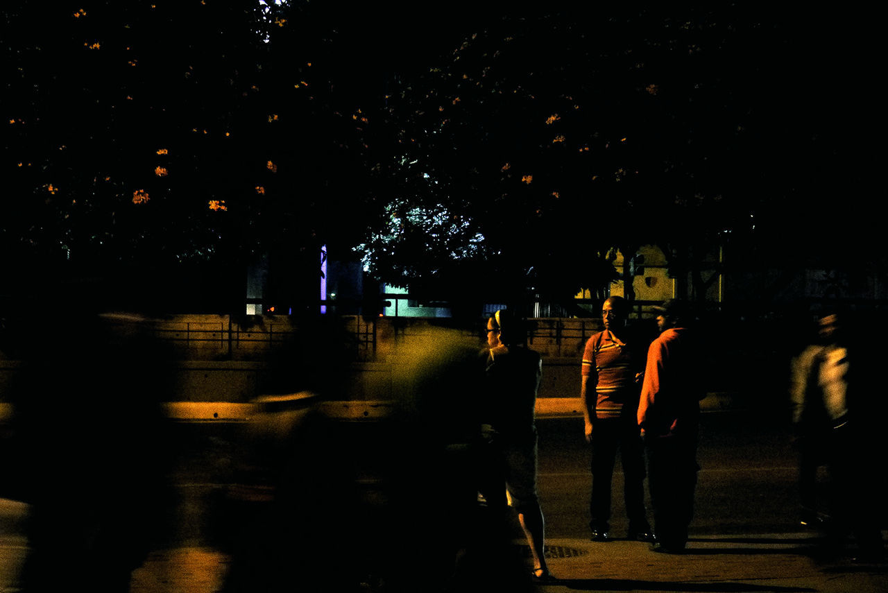 night, real people, city, group of people, street, illuminated, men, people, togetherness, full length, walking, women, standing, city life, rear view, motion, tree, nature, transportation, outdoors