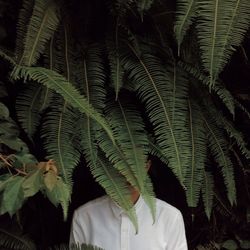 Plants growing on a tree